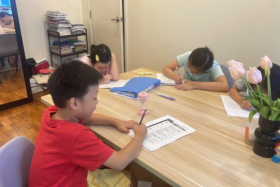 新加坡小学华文补习