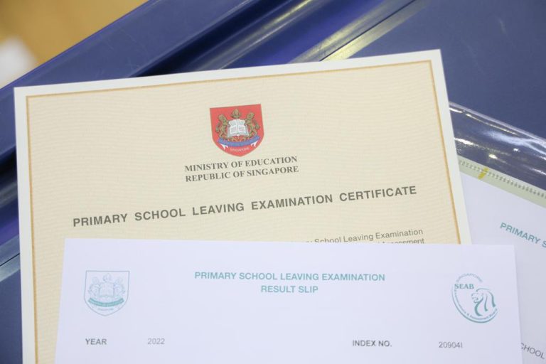 新加坡 PSLE 华文成绩与评分说明