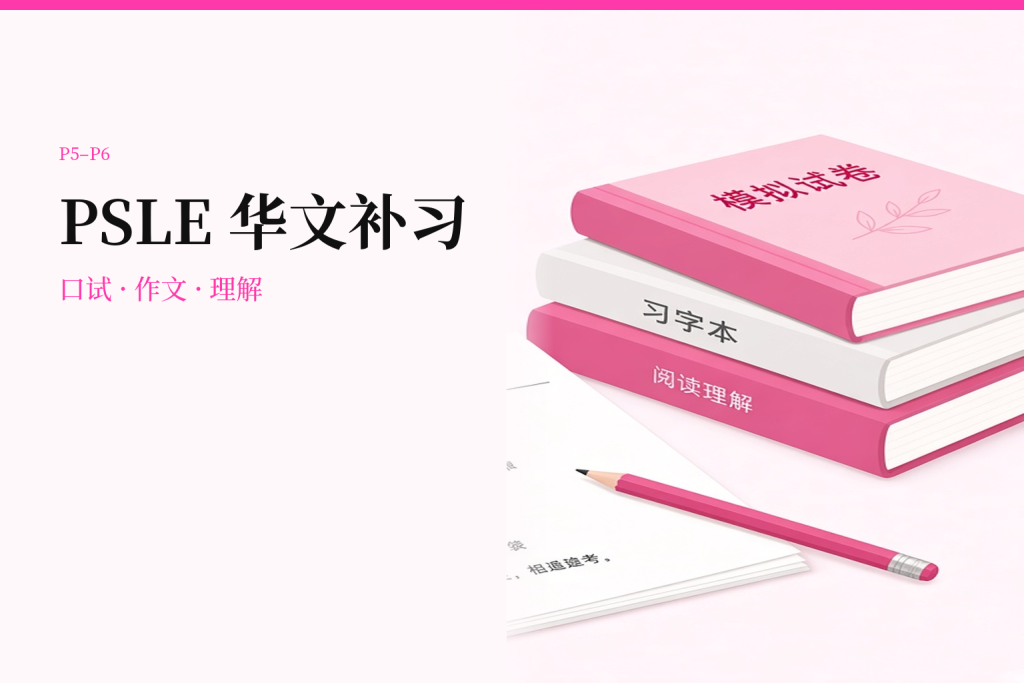 PSLE 华文补习