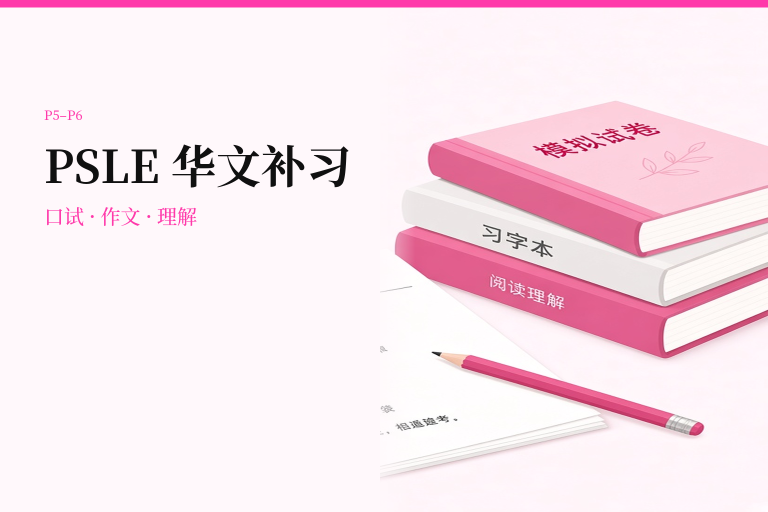 PSLE 华文补习